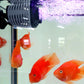 Aquarium Mini Wave Maker Watercirculatiepomp